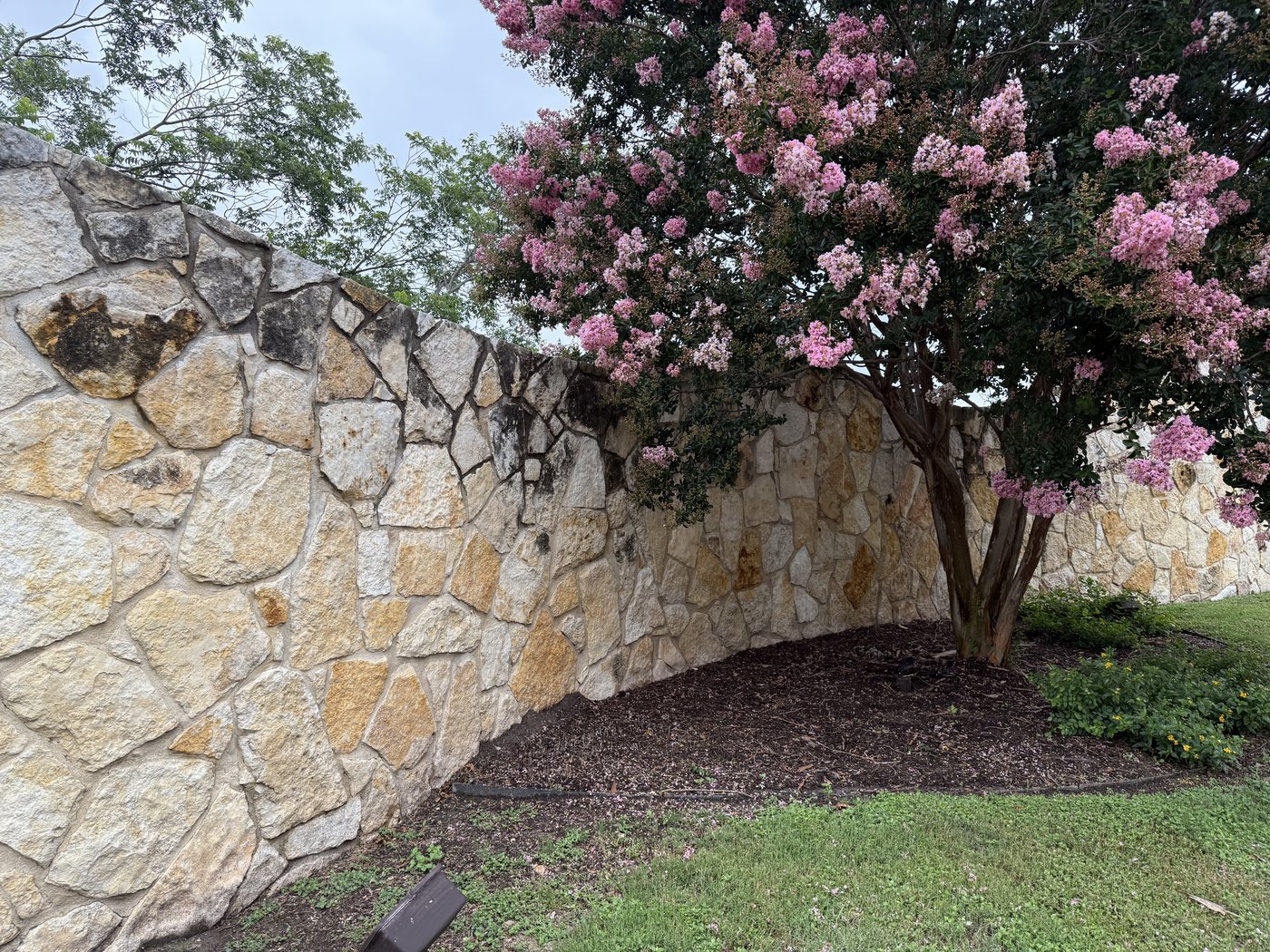 Cream, gold, and rust random-shape mosaic stone wall closeup with a flowering pink crape myrtle softening the elevation