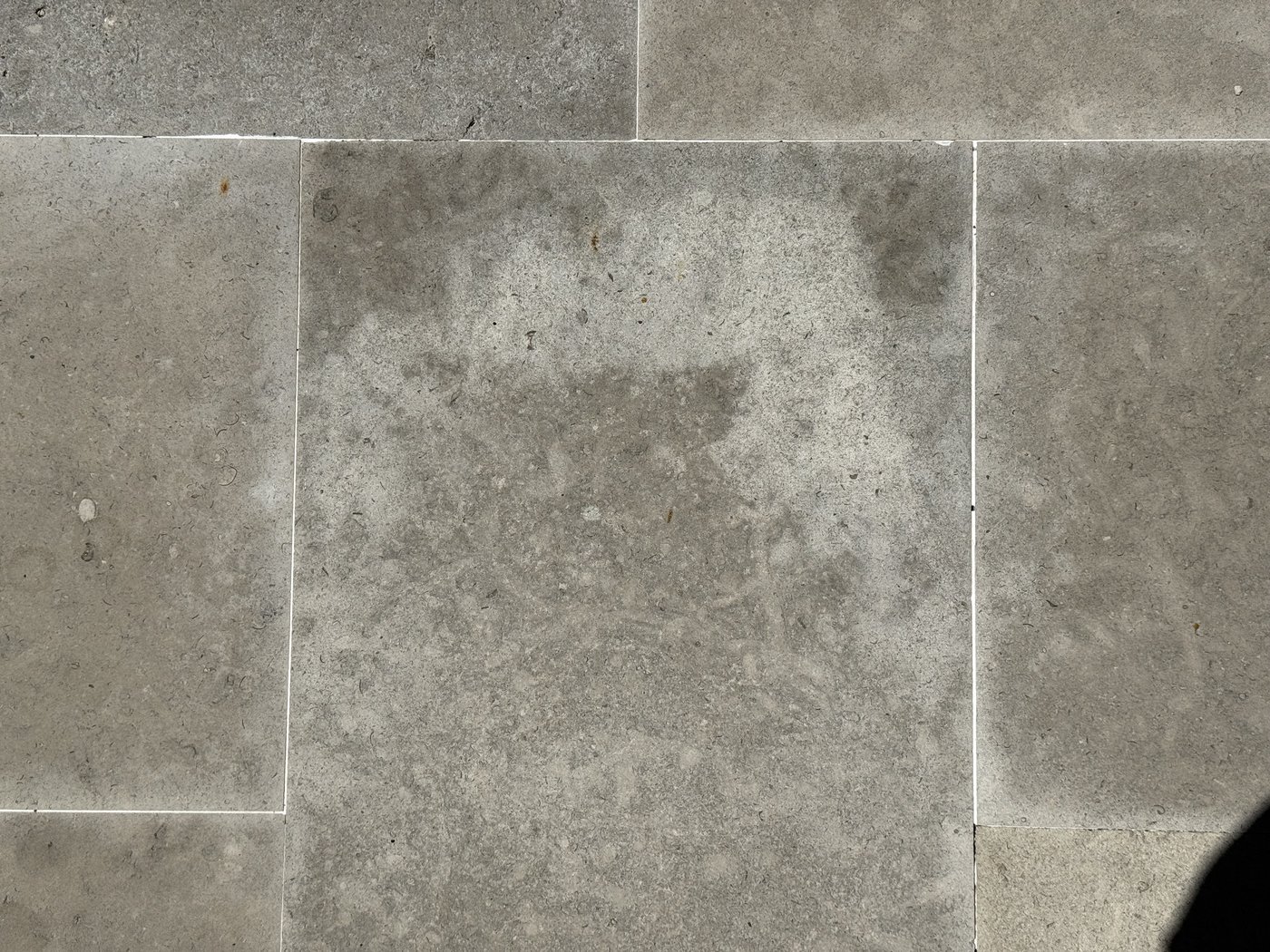 Charcoal bush-hammered limestone paver — close-up showing the textured surface and crisp sawn edges
