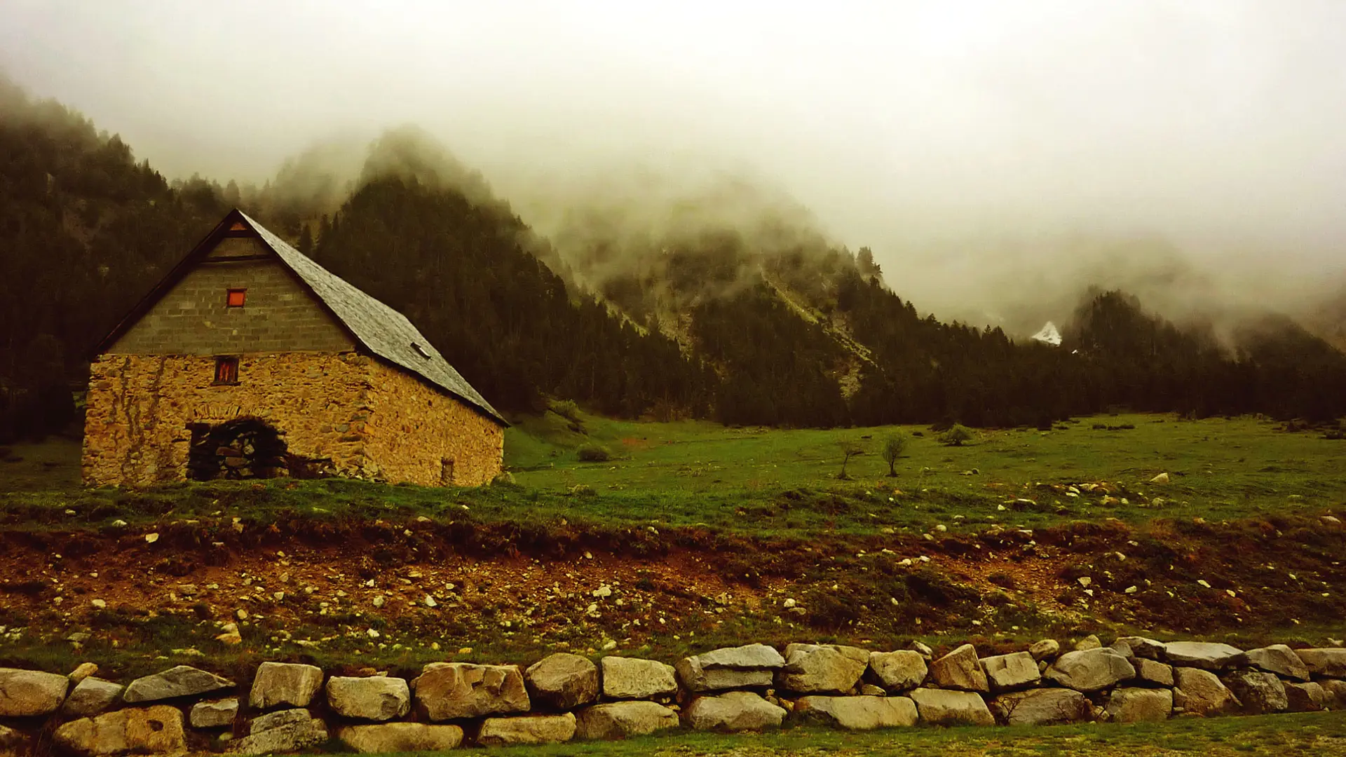 A stone wall and barn in the distance.