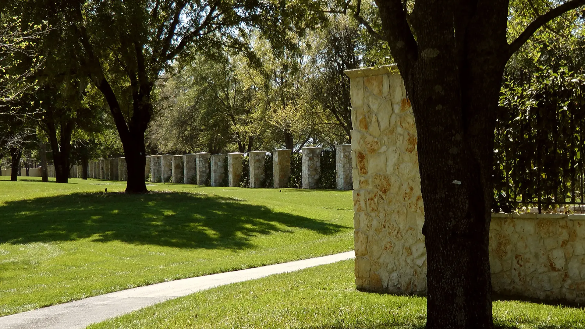 A park with trees and grass in the background